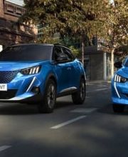 Greco Nicola SA Bild 3