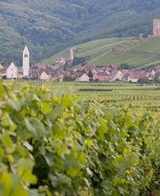 Domaine Otter & Fils image 2