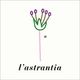L'Astrantia