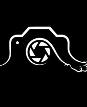 Der Haustier Fotograf  Hunde- & Tierfotografie aus München Bild 7