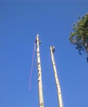 BOURJAC ELAGAGE image 3