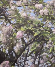 Malermeister Patrick Langmaack Bild 11