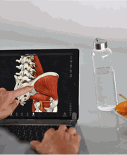 PHYSIOFIT NEUMARKT Bild 3