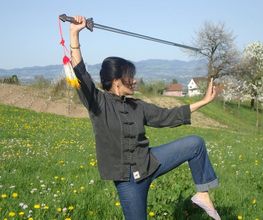 Tai Chi und Qi Gong in Richterswil Bild 1