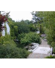 Bob C. Beis | Feng Shui Beratung München Bild 2