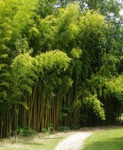 Hostellerie Restaurant Les Gorges de l'Aveyron image 4