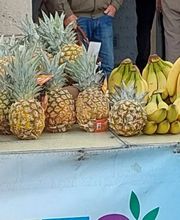 Le Clos Saint Loup image 11