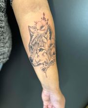 HORNET STUDIO image 1