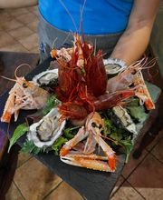 Gallery Professionale