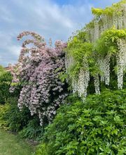 Parcs & Jardins LEZ image 6