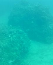 Domenico Rizzi immagine 20