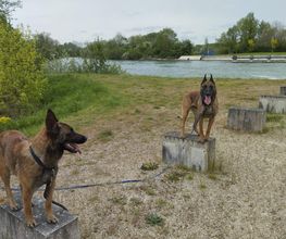 Antho Educanine image 18