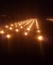 Domaine Besancenot EARL image 20