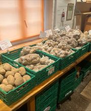 Grimm Obst u. Gemüsehandels AG Bild 7