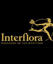 Couserans Fleurs EURL Damien Souque image 4