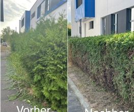 Heckenschnitt