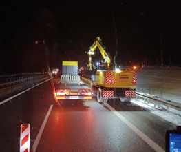 Rainer GmbH & Co. KG. Bild 7