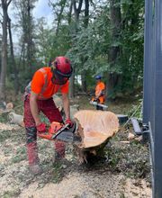 Chef mit Lucian Sturmschaden