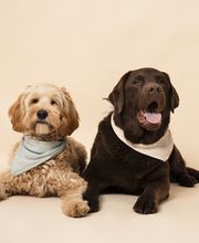 Logopädie Dorsten- Anika Klapsing Bild 1