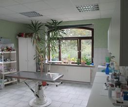 Tierarztpraxis Katrin Pompetzki Bild 2