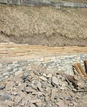 Carlo Bagutti Giardiniere Bild 13