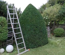 No Limit Gartengestaltung Bild 3