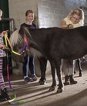 Kinderbauernhof Wigger Bild 7