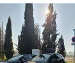 Wenea imagen 5