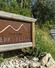 Gallery Professionale