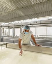 Coopérative Fromagère Jeune Montagne image 5