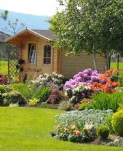 Azizi Gartenbau Bild 5