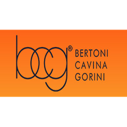 BCG - Dottori Commercialisti logo