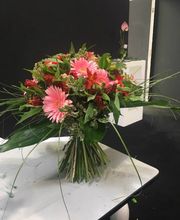 Gallery Cliente