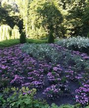 Hajo Rumpf Garten- und Landschaftsbau GmbH Bild 6