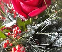 Inna's Blumen Galerie Bild 2