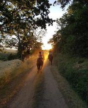 Ecole D'Equitation De Chazeron image 11