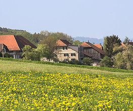 Gemeindeschreiberei Einwohnerkontrolle Kallnach Bild 13