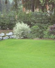 Bangerter Gartenbau AG Bild 5