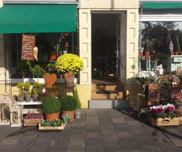Julias-Blumenwelt Bild 1