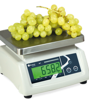 Mancel Pesage image 14