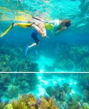 Playa Largo Ocean Residences Vacation Rentals image 15