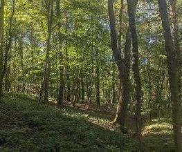 FriedWald Fahner Höhe Bild 3