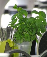 Deko - Ripka Catering & Event-Location