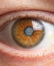 Gemeinschaftspraxis Dr.med. Gabriele Pankow, Dr.med. Felix Pankow FEBO Bild 7