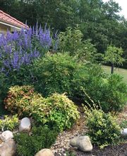 Les Jardins d'Ordesa image 2