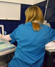 CLÍNICA VETERINÀRIA REUS imagen 13