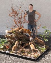 Lanaud Petot Virginie image 15