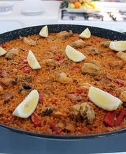 OBYCAT Experience imagen 3