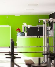 Gallery Cliente