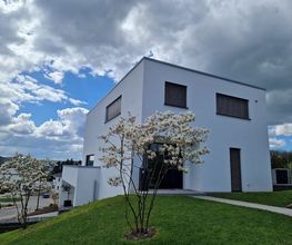 Olk ImmoPartner GmbH Bild 7